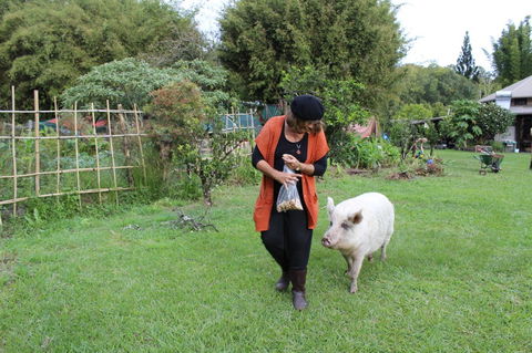 Djanbung Permaculture Gardens - Tourism Search 7