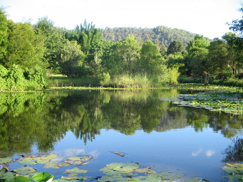 Djanbung Permaculture Gardens - Tourism Search 10