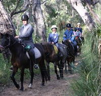 Mirravale Horse Riding School - Tourism Search