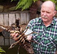 Lobster Ponds - Tourism Search