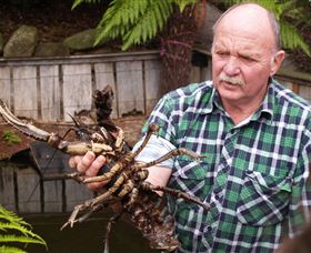 Lobster Ponds - Tourism Search 0