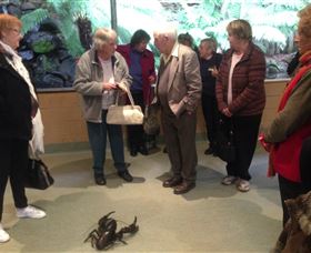 Lobster Ponds - Tourism Search 1