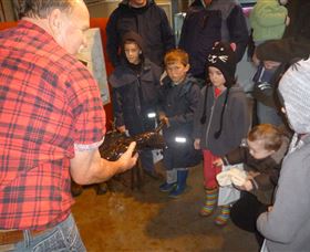 Lobster Ponds - Tourism Search 3