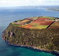 Table Cape - Tourism Search