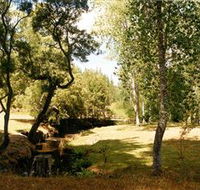 Oldina Picnic Area - Tourism Search