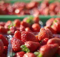 Turners Beach Berry Patch - Tourism Search