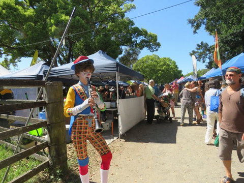 Vision Walks Eco Tours - Tourism Search 1