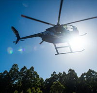 Tall Timbers Adventure Tours - Tourism Search