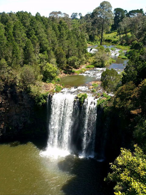 A1 Coffs Coast Tours - Tourism Search 6