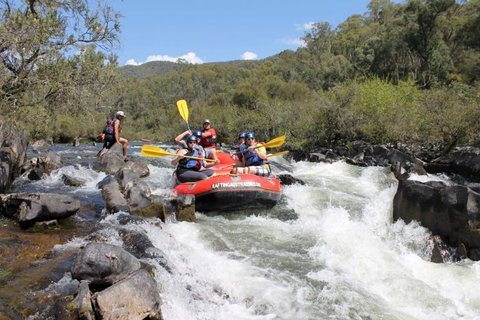 Rafting Australia - Tourism Search 2