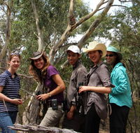 Echidna Walkabout Nature Tours - Tourism Search