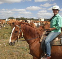 Myella Farm Stay Tours - Tourism Search