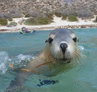 Calypso Star Charters - Tourism Search