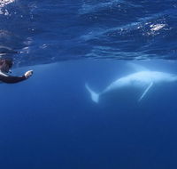 Sunreef Mooloolaba - Tourism Search