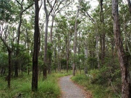 Caboolture Regional Environment Education Centre - Walking Trails - Tourism Search 0