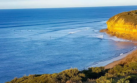 Great Ocean Road Surf Tours - Tourism Search 5
