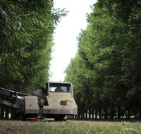 ODempseys Charters and Tours - Tourism Search