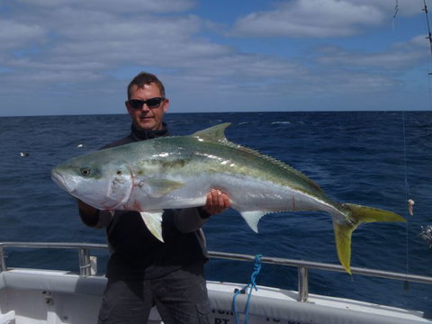 Reef Encounters Fishing Charters. - Tourism Search 2