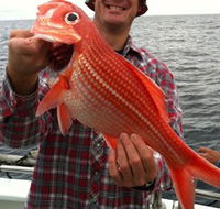 Goin' Off Safaris - Tourism Search