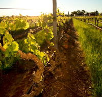 Kaesler Old Vine Vineyard Tour - Tourism Search