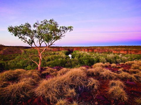 Island Stack, Boodjamulla (Lawn Hill) National Park - Tourism Search 0