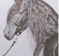 Great Lakes Art Society - Tourism Search