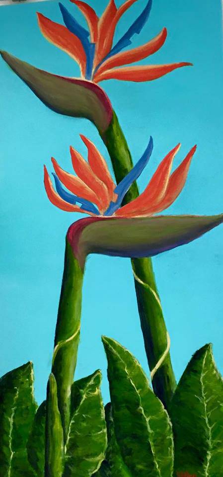 Toukley District Arts Society & Information Centre - Tourism Search 1