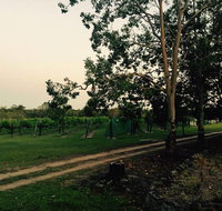 Brierley Wines - Tourism Search