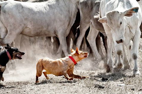 David Hancock Photography - Tourism Search 2