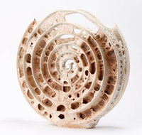 Noosa Regional Gallery - Tourism Search