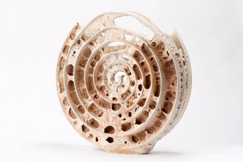 Noosa Regional Gallery - Tourism Search 0