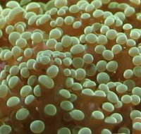 River to Reef Aquarium - Tourism Search