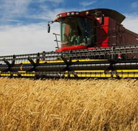 Quirindi Grain and produce - Tourism Search