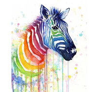 Rainbow Zebra - 65 Northbourne 7.30-9.30pm - Tourism Search
