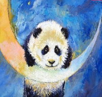 Panda Moon - Statesman Hotel 7.00-9.00pm - Tourism Search