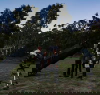 Stargazing Busselton with Mobile Observatory - Tourism Search