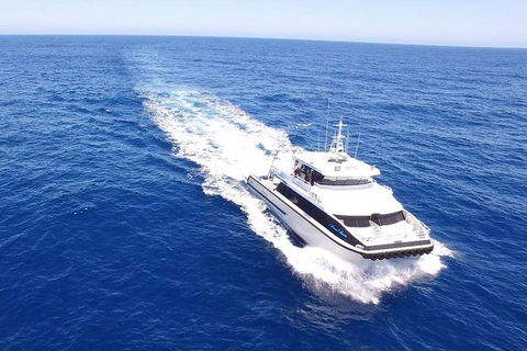 Dunsborough Whale Watching Eco Tour - Tourism Search 8