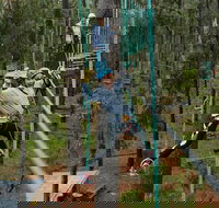 Busselton High Ropes and Zipline Adventure - Tourism Search