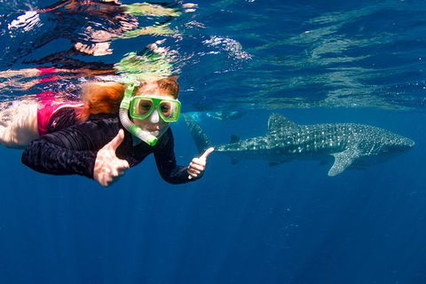 VIP Luxury Chartered Escapes, Exploring The Reef At Your Own Pace - Tourism Search 20