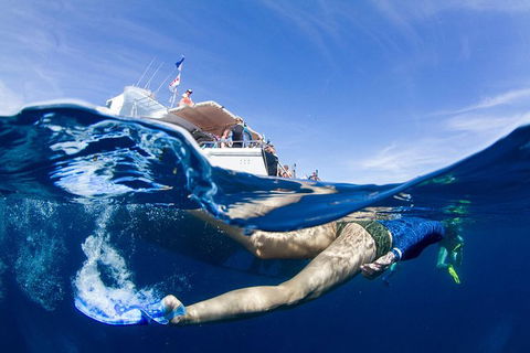 VIP Luxury Chartered Escapes, Exploring The Reef At Your Own Pace - Tourism Search 40