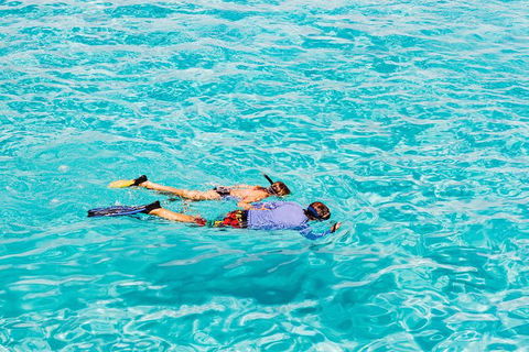 VIP Luxury Chartered Escapes, Exploring The Reef At Your Own Pace - Tourism Search 29