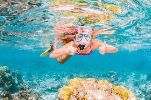 VIP Luxury Chartered Escapes, Exploring The Reef At Your Own Pace - Tourism Search 48