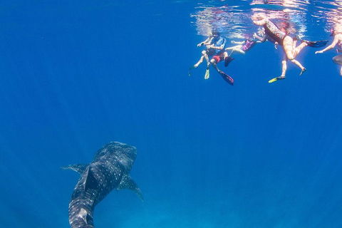 VIP Luxury Chartered Escapes, Exploring The Reef At Your Own Pace - Tourism Search 22