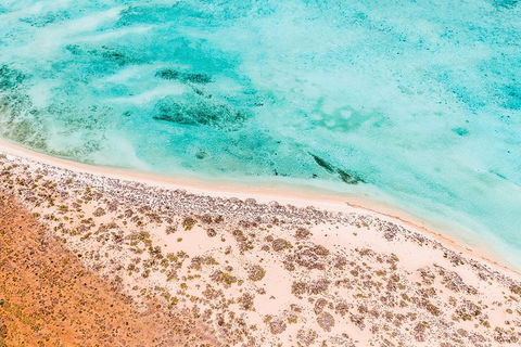 VIP Luxury Chartered Escapes, Exploring The Reef At Your Own Pace - Tourism Search 4