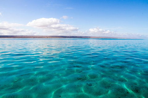 VIP Luxury Chartered Escapes, Exploring The Reef At Your Own Pace - Tourism Search 32