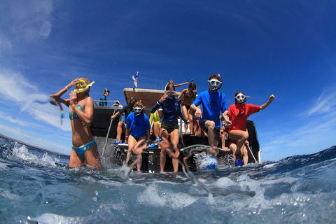VIP Luxury Chartered Escapes, Exploring The Reef At Your Own Pace - Tourism Search 17