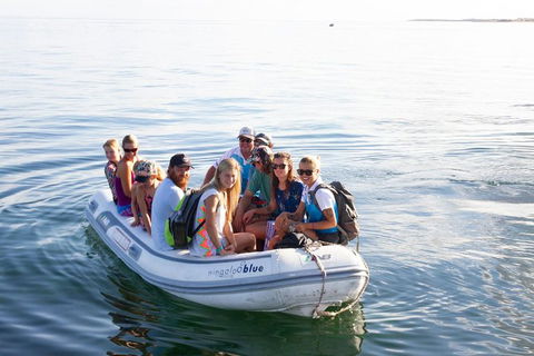 VIP Luxury Chartered Escapes, Exploring The Reef At Your Own Pace - Tourism Search 43