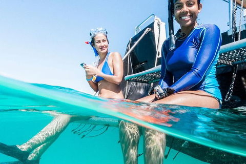 VIP Luxury Chartered Escapes, Exploring The Reef At Your Own Pace - Tourism Search 24