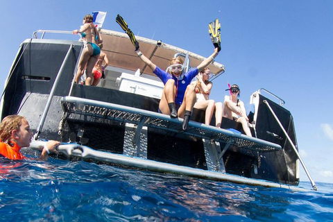 VIP Luxury Chartered Escapes, Exploring The Reef At Your Own Pace - Tourism Search 25