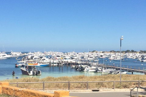 Rottnest Island ECO E Bike Tour - Tourism Search 6